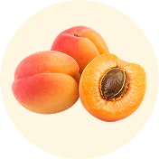 APRICOT KERNEL