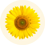 VITAMIN E